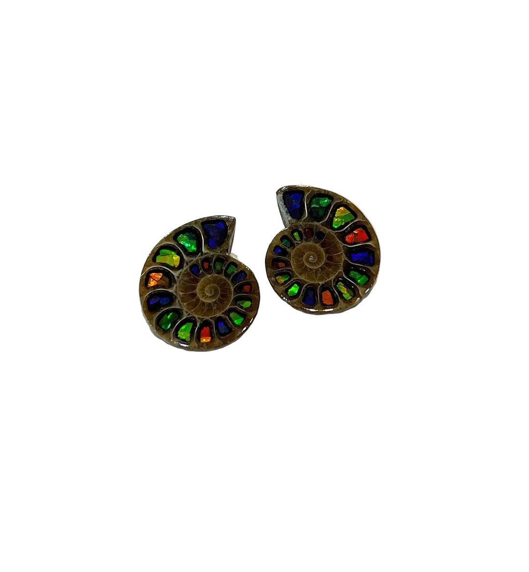 Madagascar Ammonite pairs with Inlaid Ammolite
