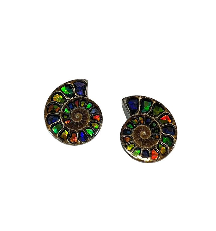 Madagascar Ammonite pairs with Inlaid Ammolite