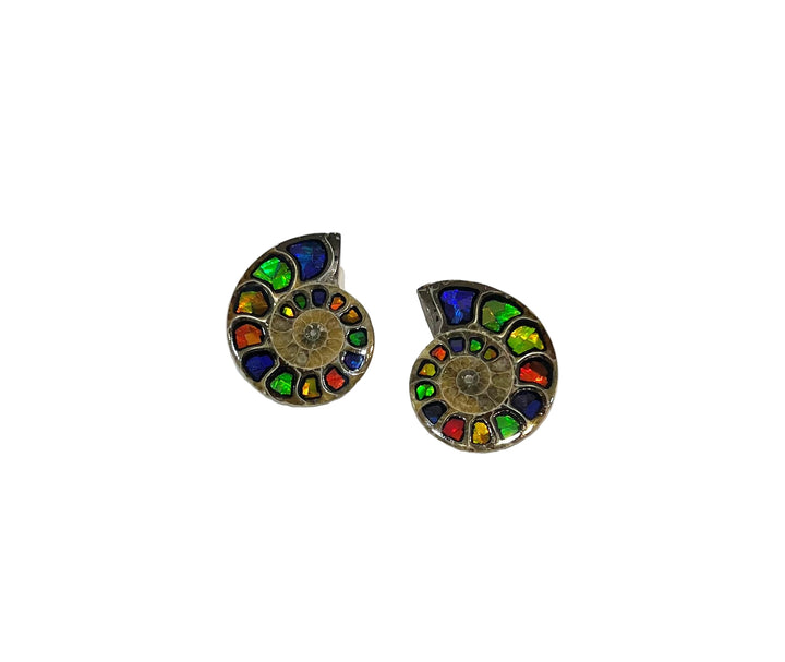 Madagascar Ammonite pairs with Inlaid Ammolite