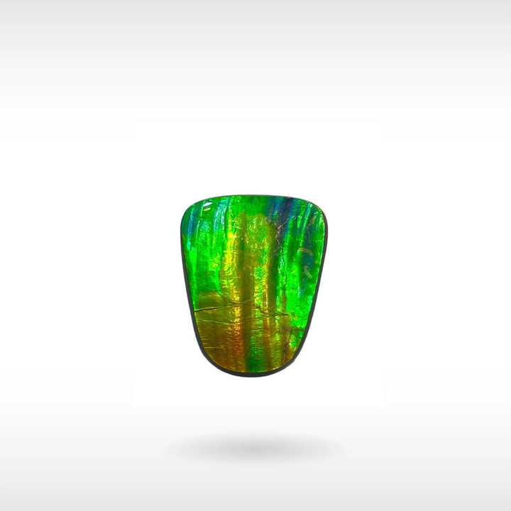 Natural Ammolite Stone