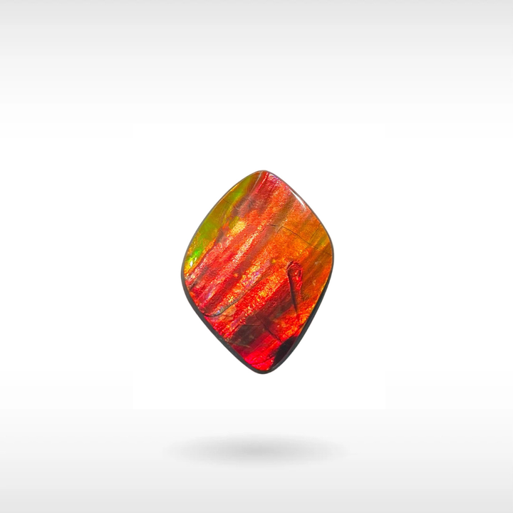 Natural Ammolite Stone