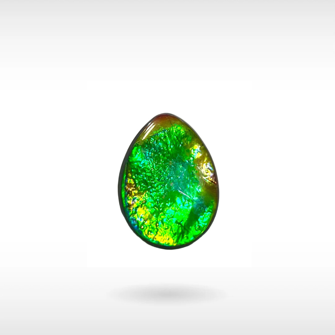 Natural Ammolite Stone
