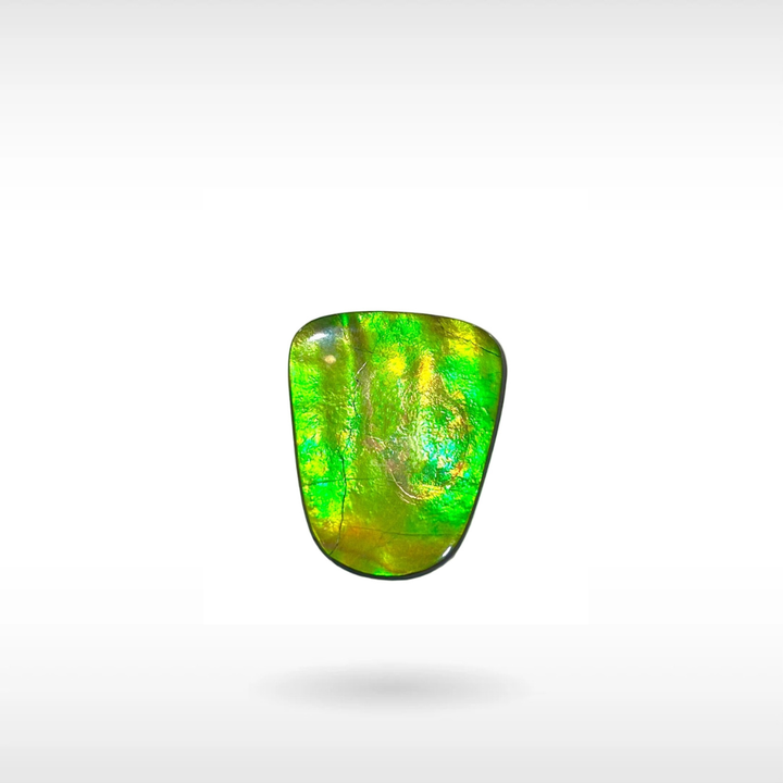 Natural Ammolite Stone