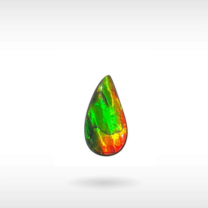 Natural Ammolite Stone