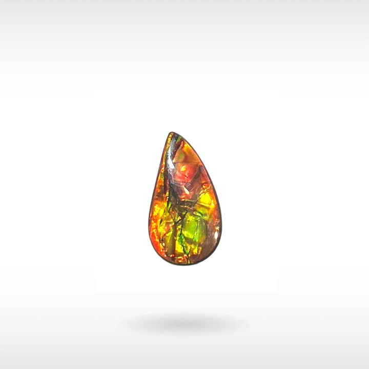 Natural Ammolite Stone