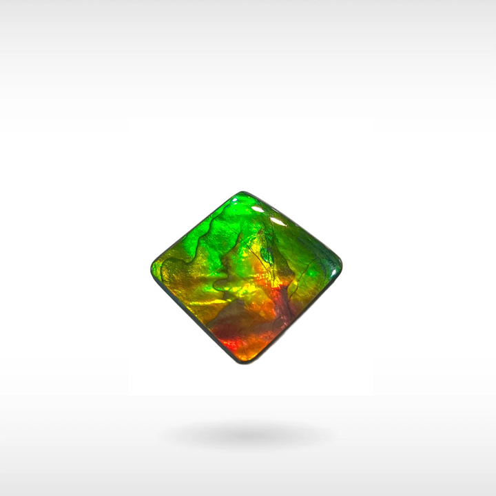 Natural Ammolite Stone