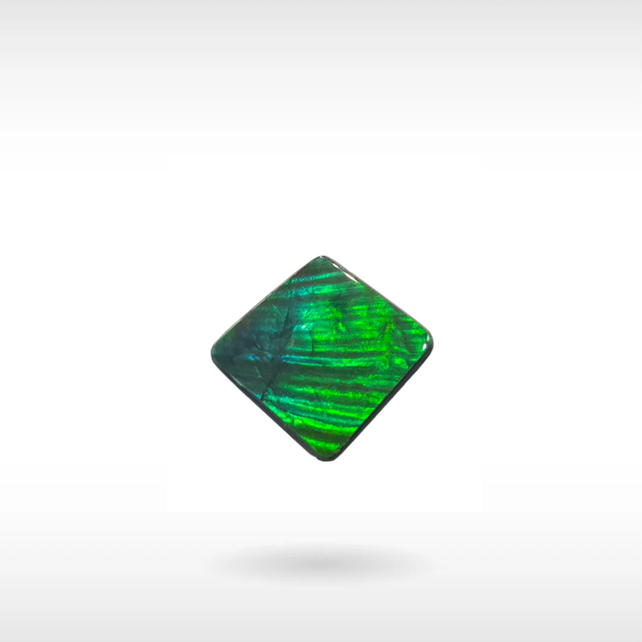 Natural Ammolite Stone