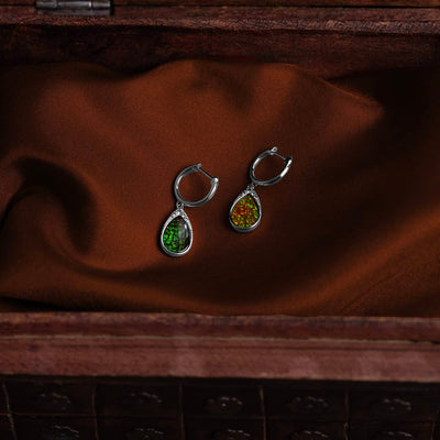 Imperial Ammonlite Earrings in sterling silver