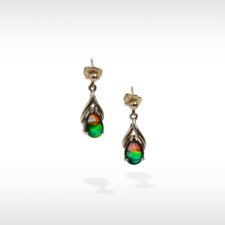 Women's Nina 14K Gold A Grade Ammolite Earrings