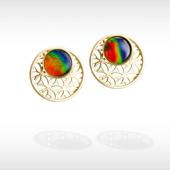 Baroque Ammolite Earrings in 14K Gold