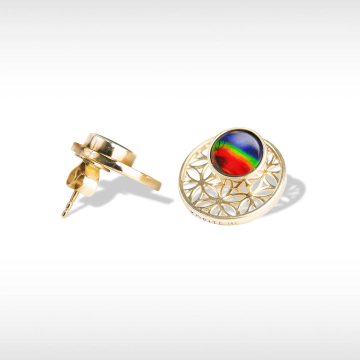 Baroque Ammolite Earrings in 14K Gold