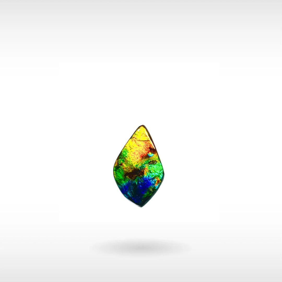 Colourful Ammolite gemstone naturally shaped, multi-color