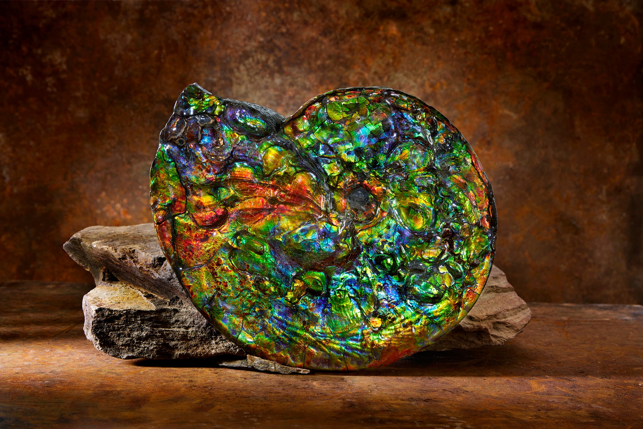 KORITE  アンモライト原石片 KORITE | Canadian Ammolite Jewelry | Ethically Mined