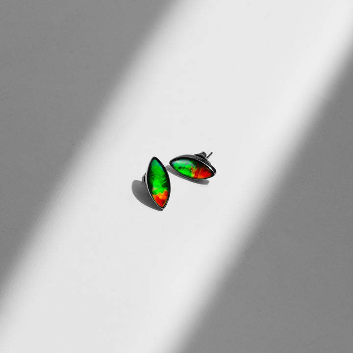 Essentials Marquis Ammolite Earrings in Sterling Silver