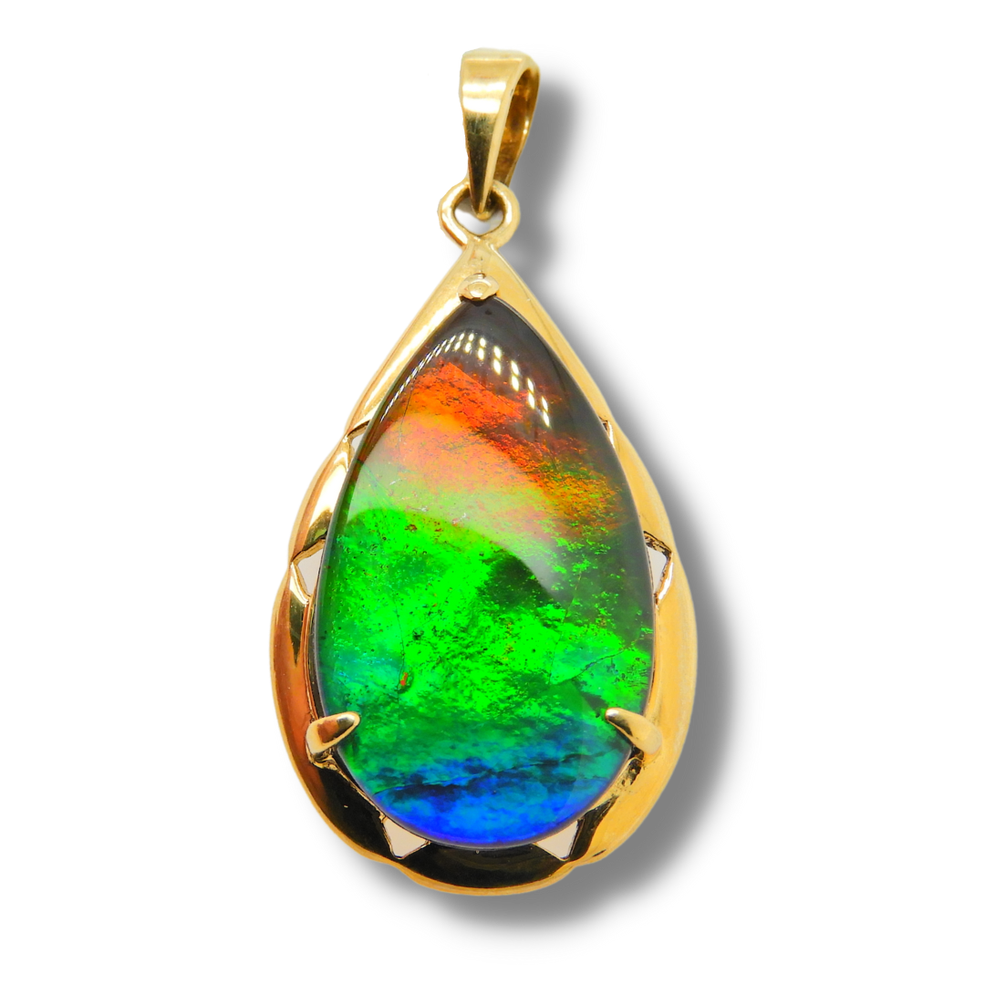 Women's Rene (Royal) 14K Gold AA Grade Ammolite Pendant