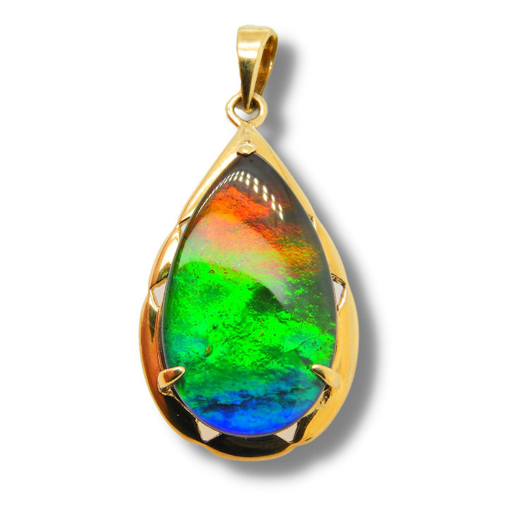 Women's Rene (Royal) 14K Gold AA Grade Ammolite Pendant