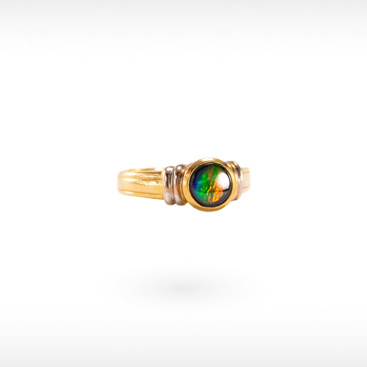 Women's 14K Gold A Grade Ammolite Ring