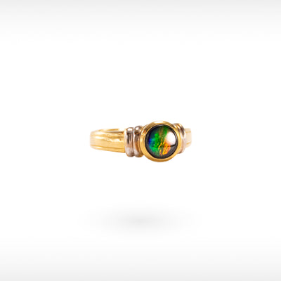 Women's 14K Gold A Grade Ammolite Ring