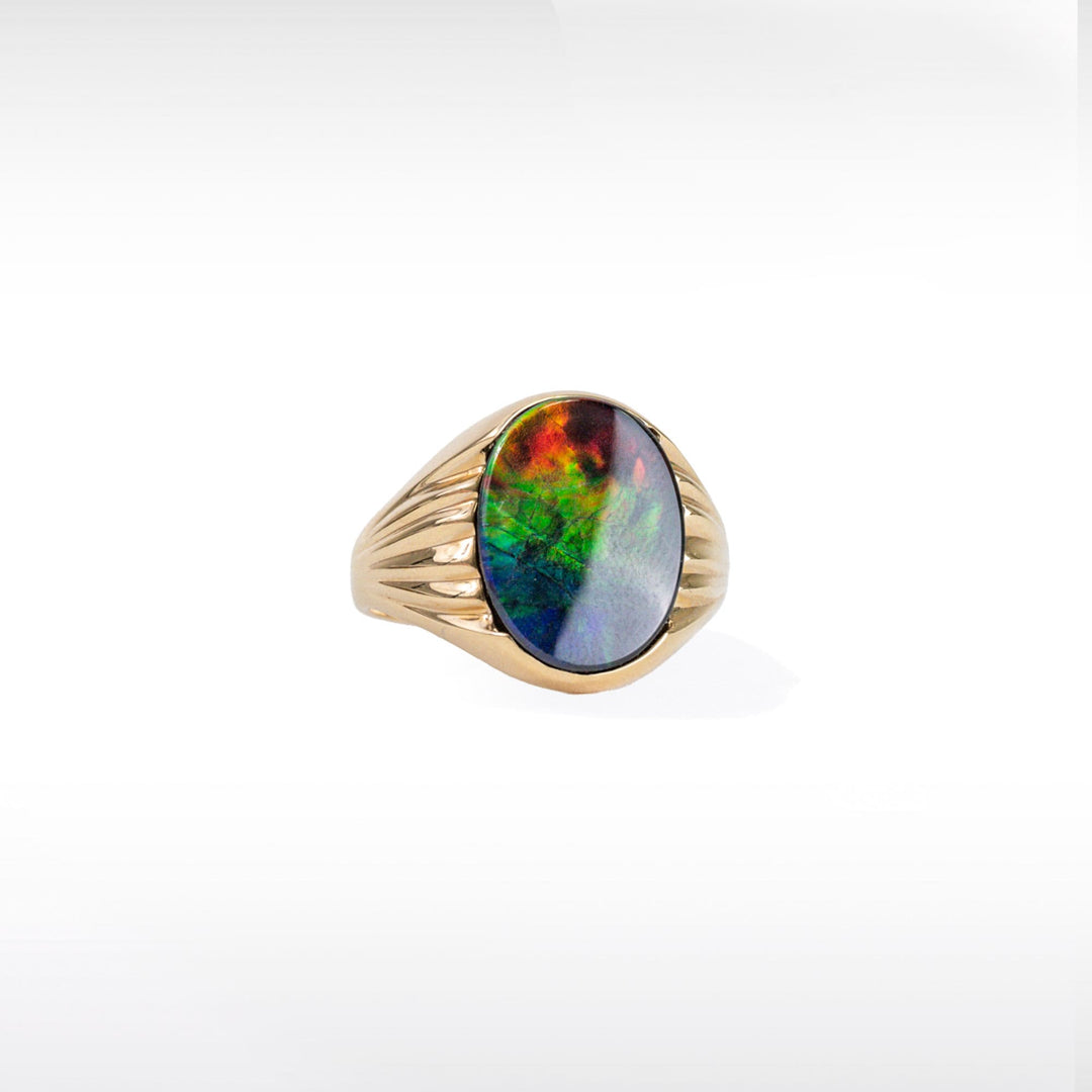 Men's Paul 14K Gold A or AA Grade Ammolite Ring