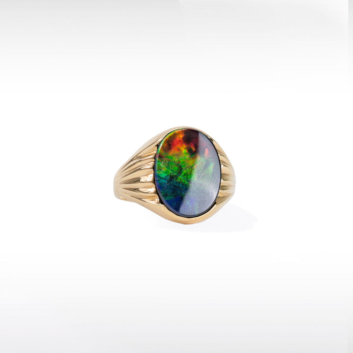 Men's Paul 14K Gold A or AA Grade Ammolite Ring