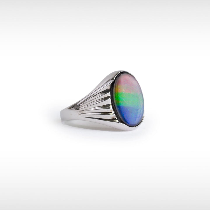 Men's Paul 14K Gold A or AA Grade Ammolite Ring