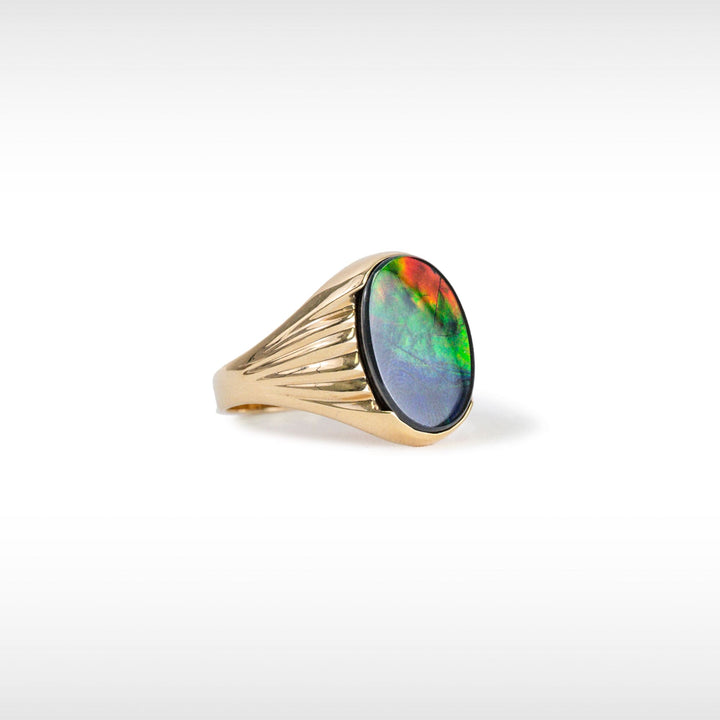 Men's Paul 14K Gold A or AA Grade Ammolite Ring