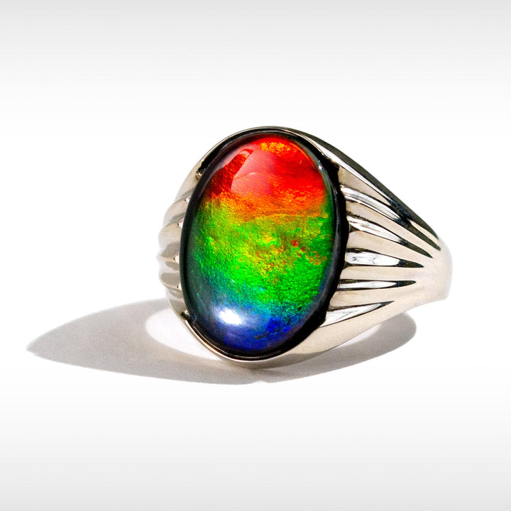 Men's Paul 14K Gold A or AA Grade Ammolite Ring