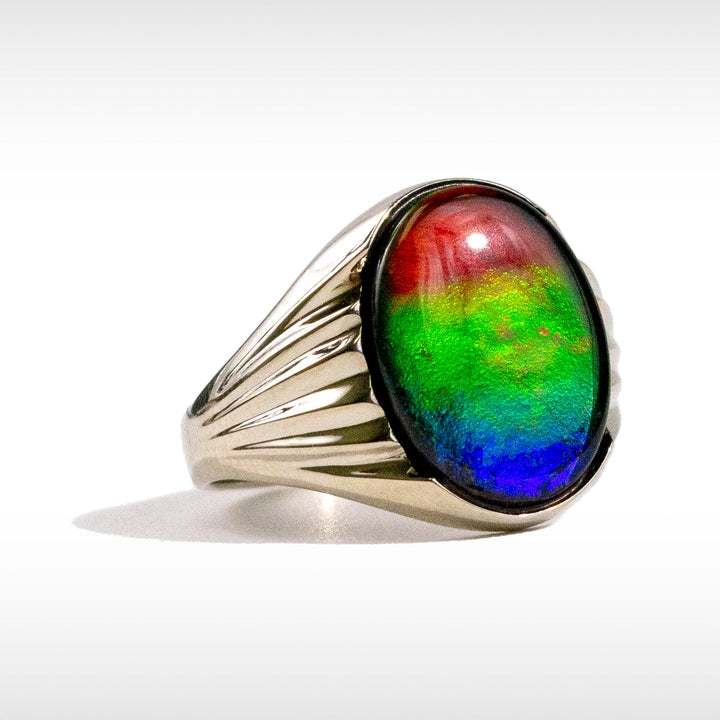 Men's Paul 14K Gold A or AA Grade Ammolite Ring