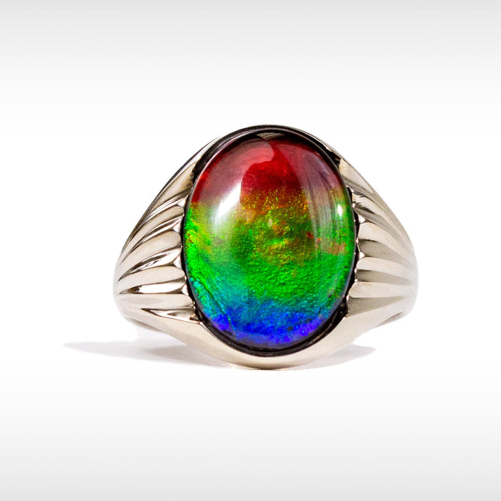 Men's Paul 14K Gold A or AA Grade Ammolite Ring