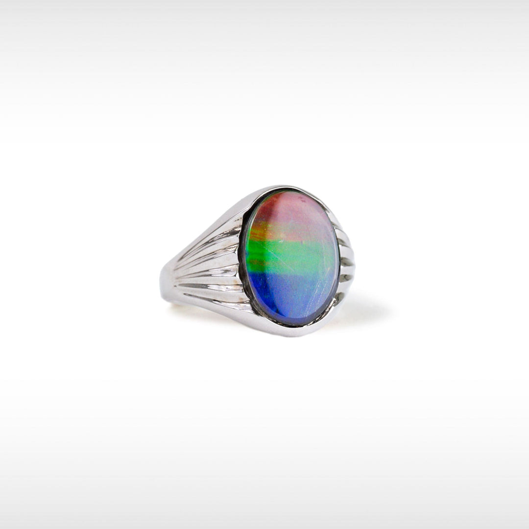 Men's Paul 14K Gold A or AA Grade Ammolite Ring