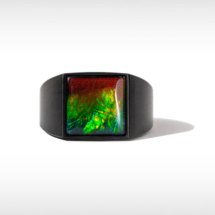 Midnight Ammolite Ring in Matte Black Titanium