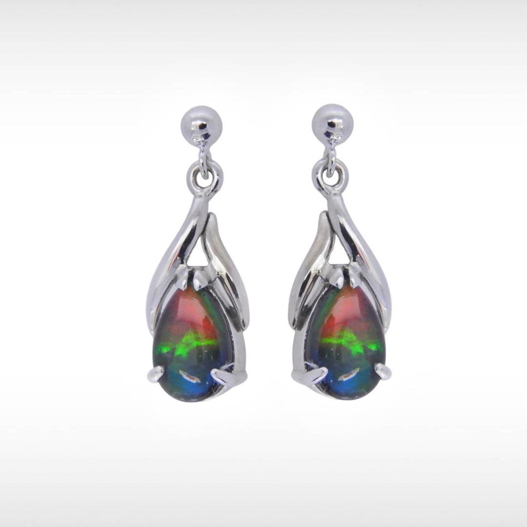 Women's Nina 14K Gold A Grade Ammolite Earrings