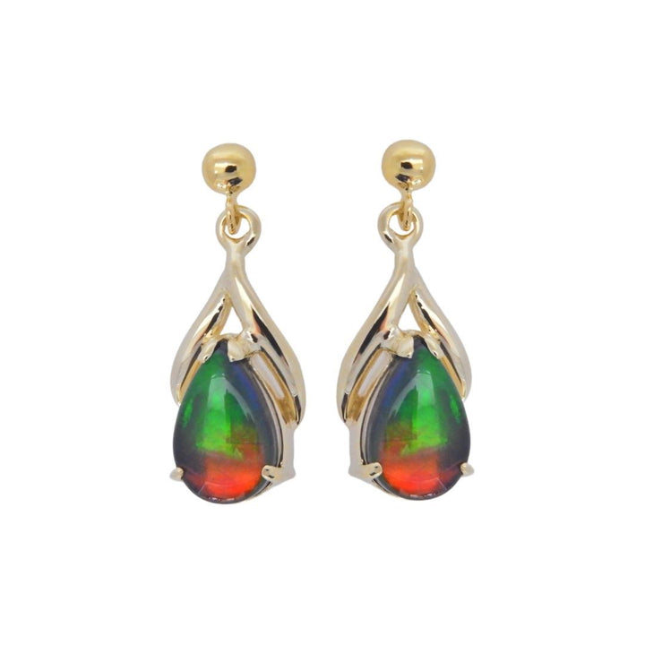 Women's Nina 14K Gold A Grade Ammolite Earrings