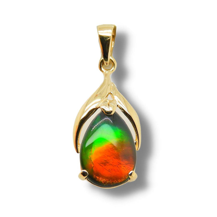 Women's Nina 14K Gold A Grade Ammolite Pendant