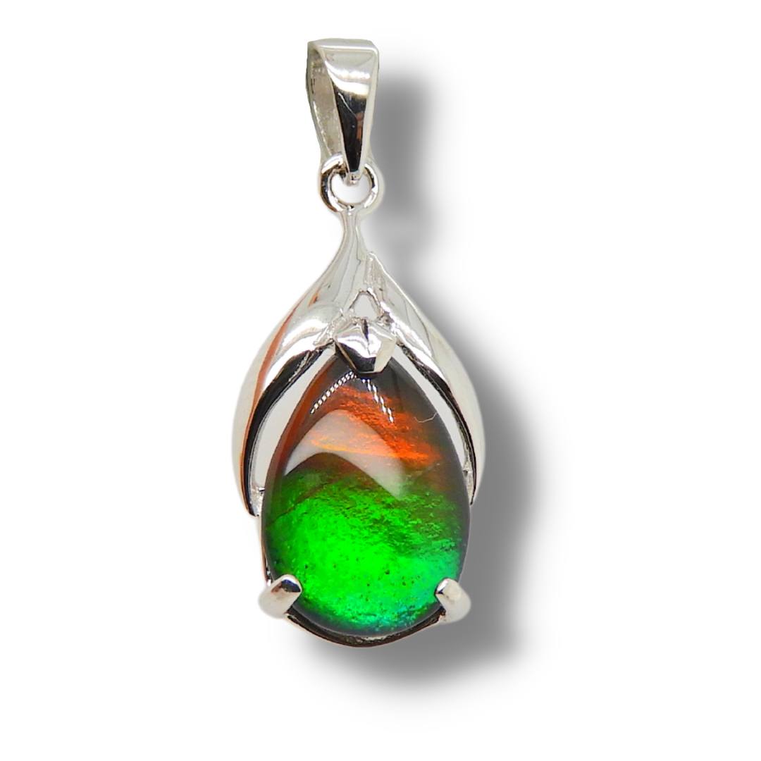 Women's Nina 14K Gold A Grade Ammolite Pendant